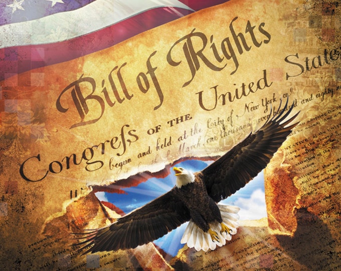 David Textiles American Patriotic Land of Liberty Bill of Rights 35" Panel Premium Quality 100% Cotton Fabric by The Panel. (DA8XX)