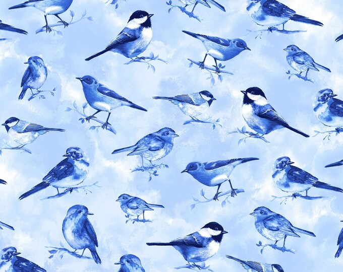 Timeless Treasures Sky Blue Birds Premium Quality 100% Cotton Fabric (TT14XX)