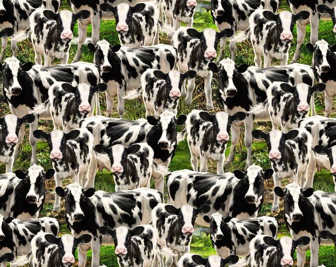 Timeless Treasures Country Farm Packed Cows Multicolor Premium Quality 100% Cotton Fabric (TT1238KK)