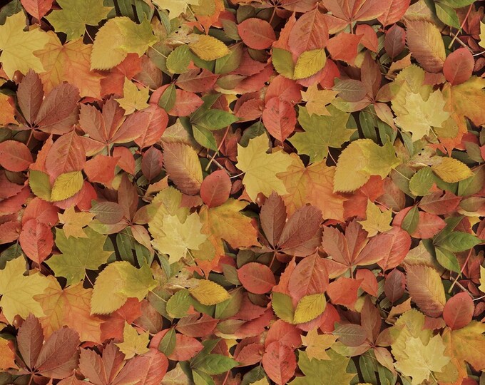 Windham Fabrics Landscape Autumn Splendor Multicolor Premium Quality 100% Cotton Fabric (M52KK)