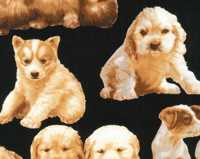 Robert Kaufman Whiskers and Tails Puppies, Black Premium Quality 100% Cotton Fabric (RK327)