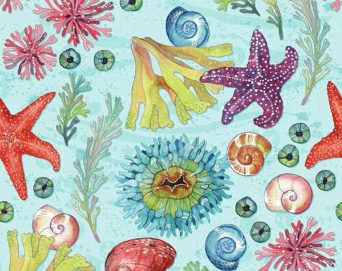 Four Seasons Tidepool Seashells David Textiles 100% cotton fabric by the yard  (DA186)