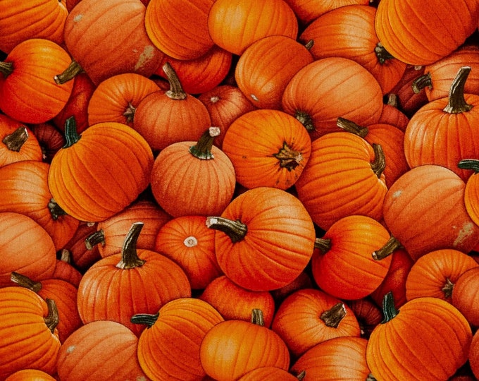 Elizabeth's Studio Harvest Time Pumpkins Orange Premium Quality 100% Cotton Fabric (ES376KK)