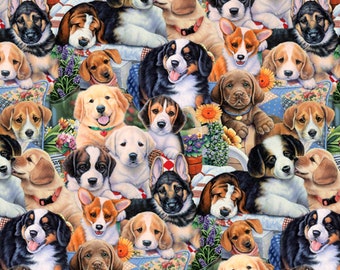 David Textiles Cute Garden Puppies Multicolor Premium Quality 100% Cotton Sold by The Yard. (DA178)