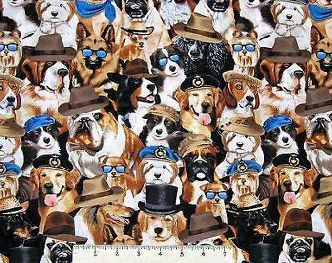 Timeless Treasures Packed Pets in Hats Premium Quality 100% Cotton Fabric (TT275)