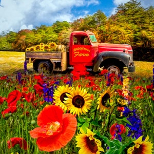 David Textiles Wildflower Farm Truck 35&quot; Panel Multicolor Premium Quality 100% Cotton Fabric by The Panel. (DA15XX)