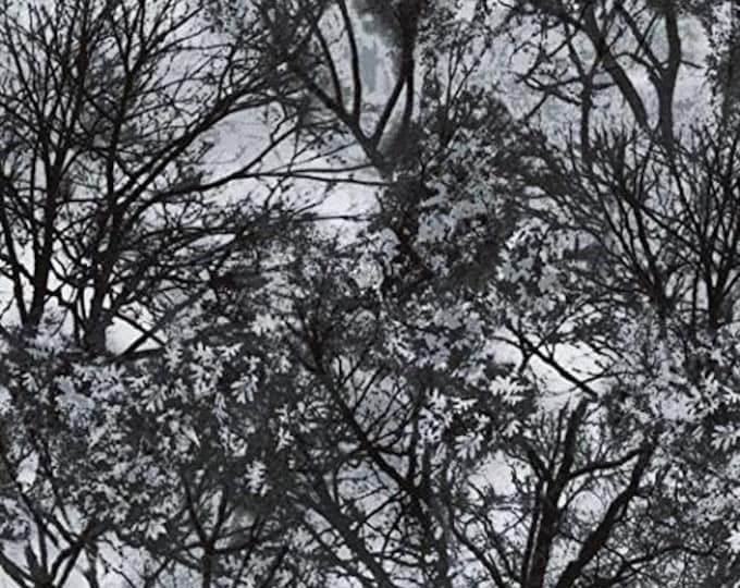 Timeless Treasures Wicked Treetops in The Forest Premium Quality 100% Cotton Fabric (TT1127KK)