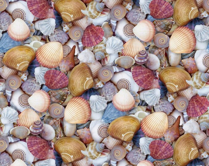 Windham Fabrics Landscapes Shellabrate Seashells Multicolor Premium Quality 100% Cotton Fabric (M659KK)