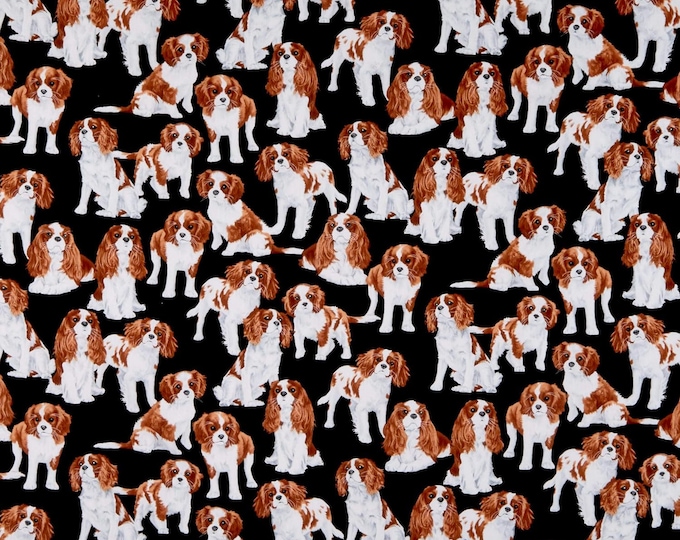 Timeless Treasures Dog Show Cavalier King Charles Spaniels Black Premium Quality 100% Cotton Fabric (TT1295KK)