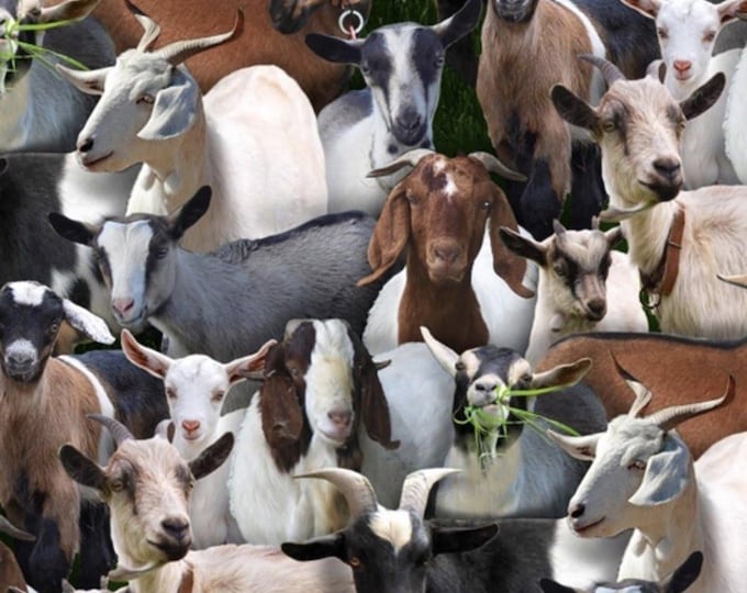Elizabeth's Studio Farm Animals Goats Packed Allover Premium Quality 100% Cotton Fabric (ES427)