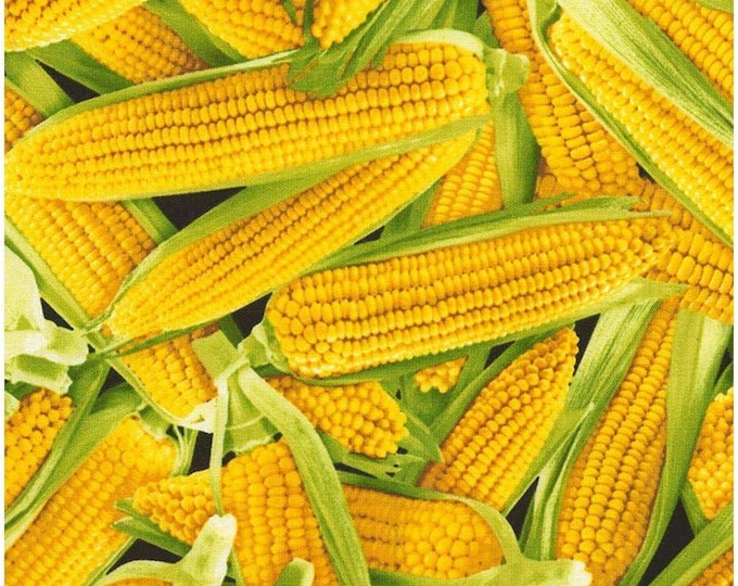 Timeless Treasures Farmer's Market Corn on The Cobb Premium Quality 100% Cotton Fabric (TT682)