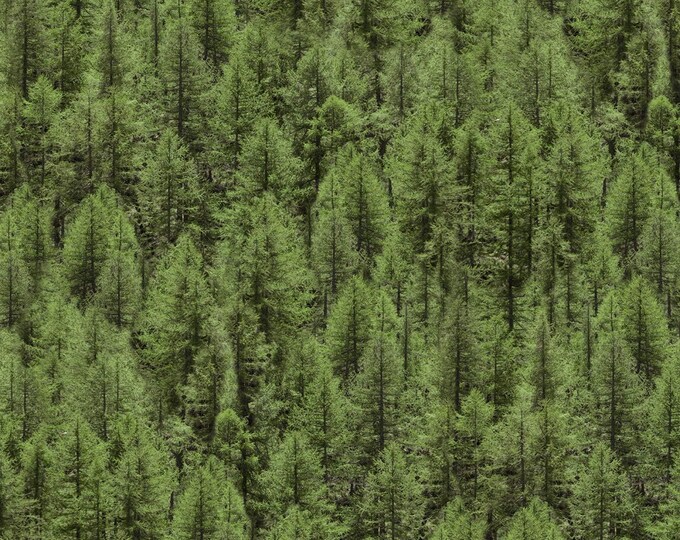 Windham Fabrics Landscapes Evergreen Multicolor Premium Quality 100% Cotton Fabric (M503KK)