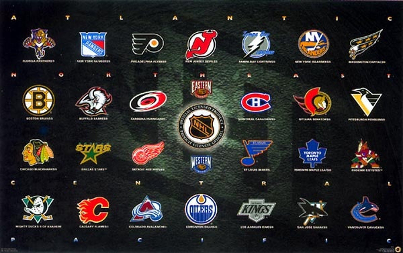 National Hockey League NHL Logo Large 23x35 Inches Rare Original Poster