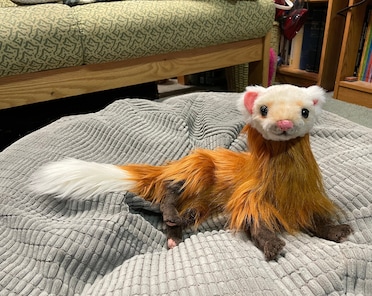 weasel stuffed animal