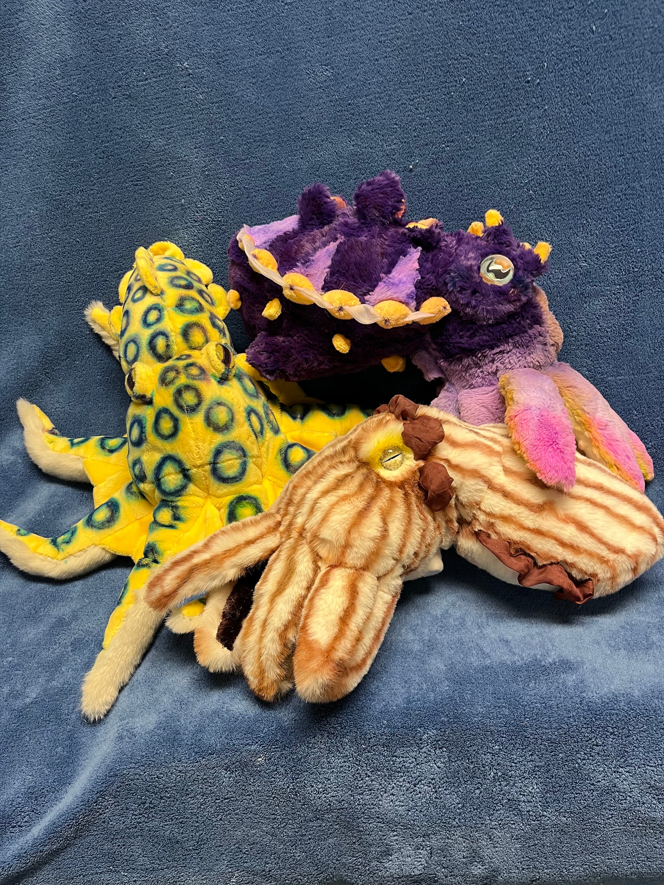 Custom Cephalopod Plushie; Handmade and Made to Order