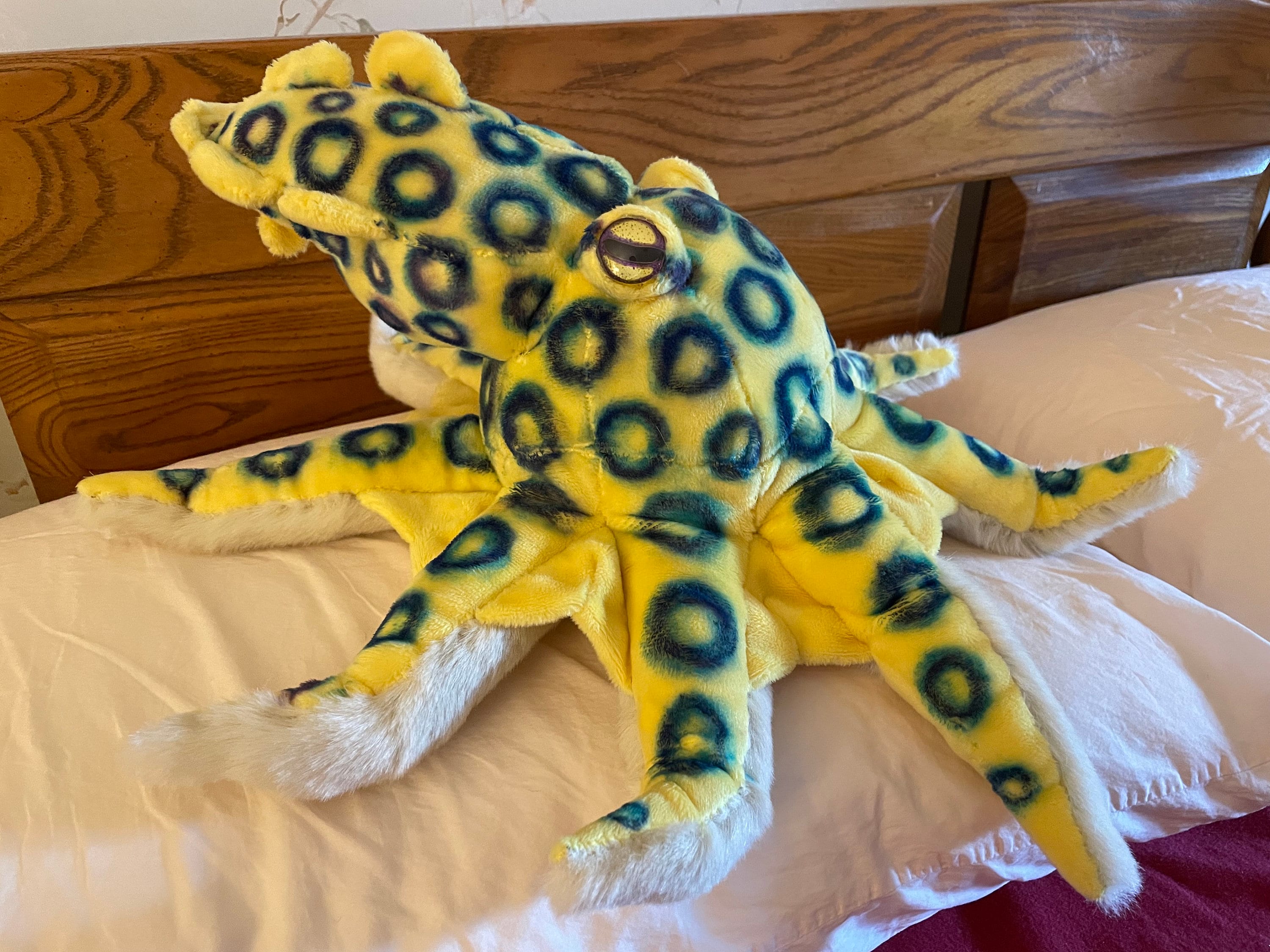 Blauwgeringde octopus pluche - Etsy België, image size:3000x2250