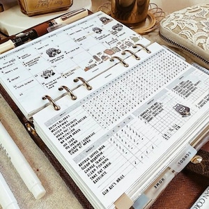 May include: A ring-bound planner open to a monthly calendar page and a daily habit tracker page. The pages feature printed text, handwritten notes, and small cartoon stickers. The planner includes labeled divider tabs for sections like Home and School.