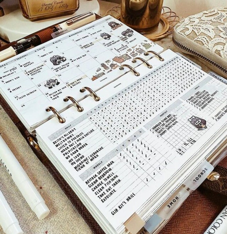 May include: A ring-bound planner open to a monthly calendar page and a daily habit tracker page. The pages feature printed text, handwritten notes, and small cartoon stickers. The planner includes labeled divider tabs for sections like Home and School.