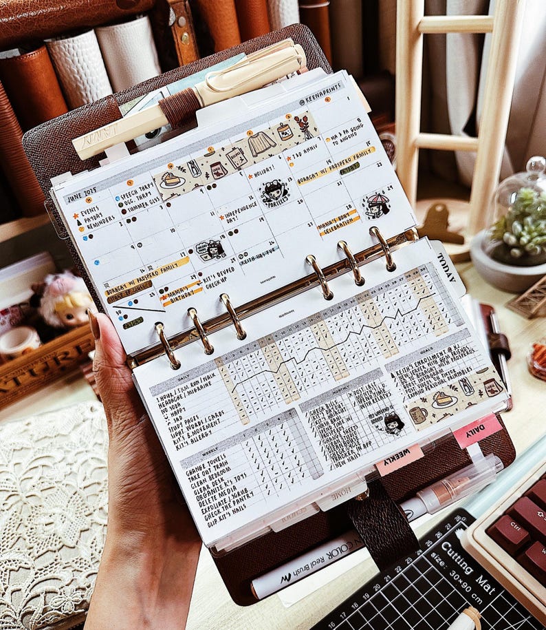May include: A brown leather six-ring planner featuring a June 2025 calendar insert with handwritten notes, decorative stickers, and a daily habit tracker. A cream-colored pen is tucked into the top, and a white pen rests at the bottom.