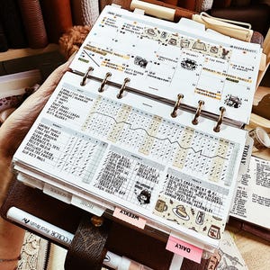 May include: A brown leather ring-bound planner open to a June 2023 calendar page. The planner features handwritten daily and weekly habit trackers, goal lists, and decorative stickers. A white pen is tucked into the leather pen loop on the cover.