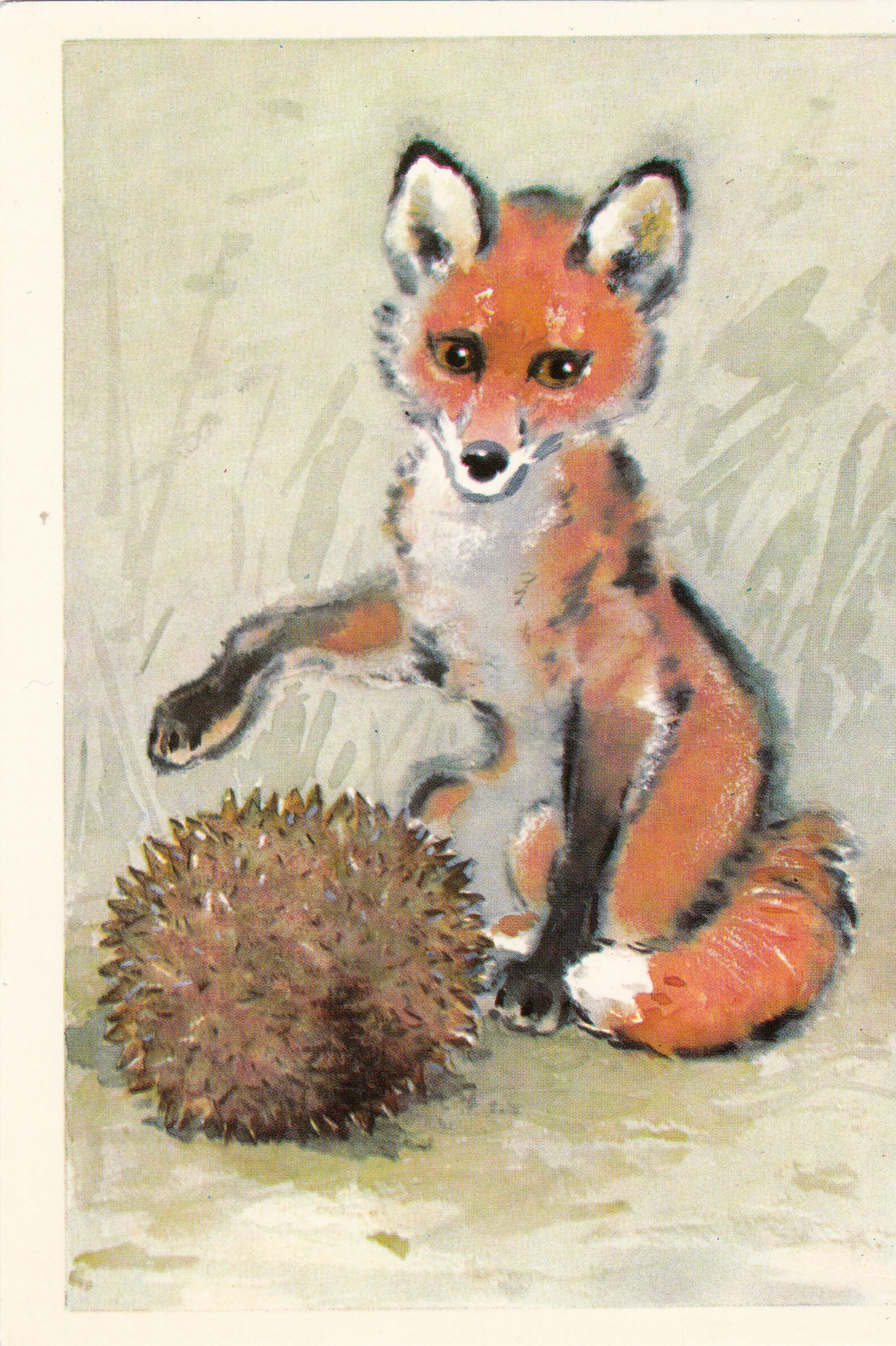 Louveteaux Danimaux Et Doiseaux Ensemble De 16 Cartes Etsy
