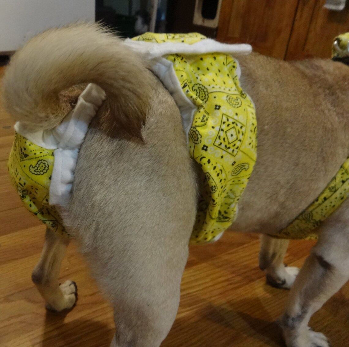 Female Dog Diaper Without Side Straps Has A Soft WaistBand. Etsy