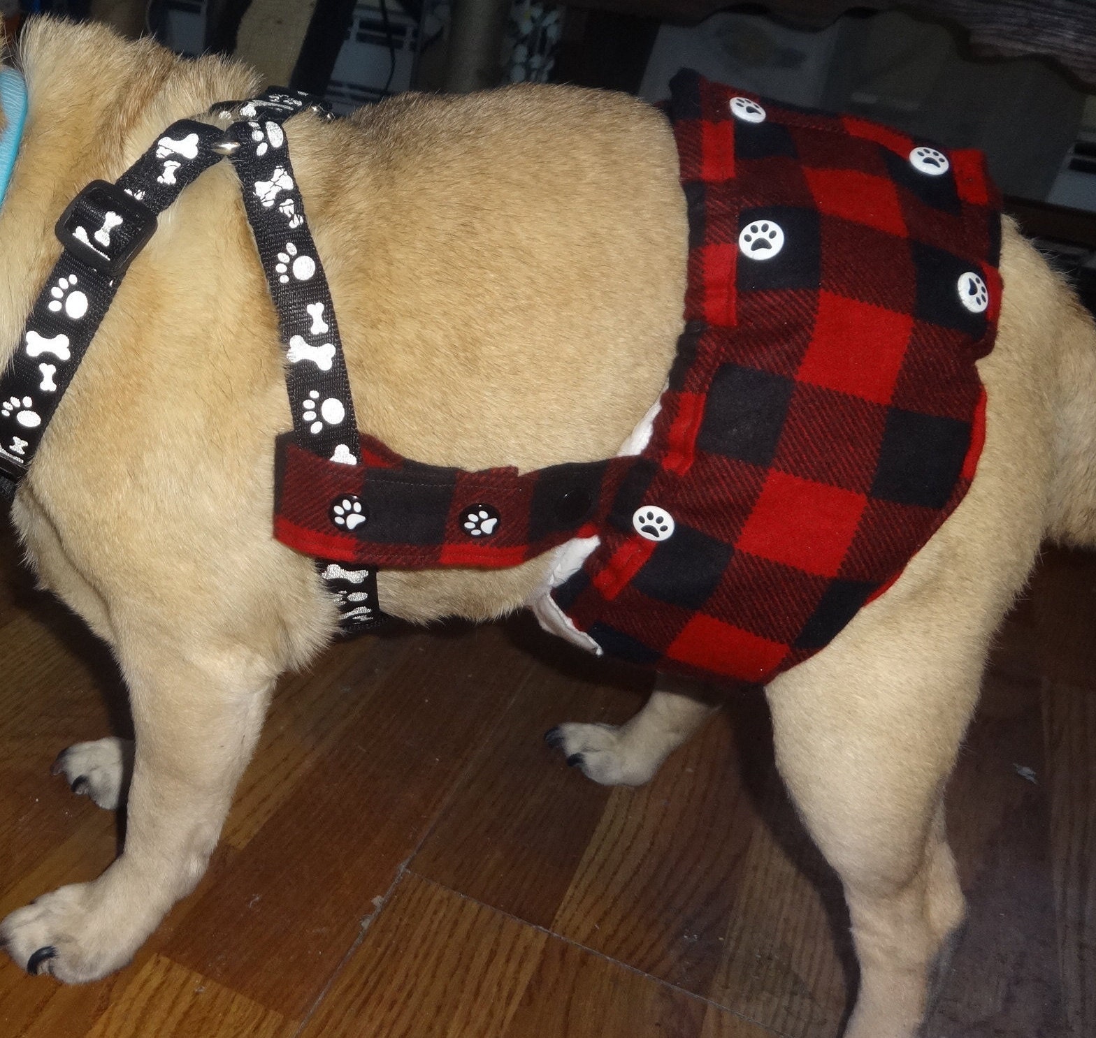 Male Dog Diaper/Belly Band That Stays On Straps Attach To Any Etsy