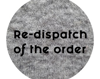 Re-dispatch of the order