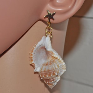 May include: A seashell earring with a gold-colored starfish stud. The seashell is white and tan with a spiral design. The earring is attached to a gold-colored chain.