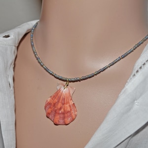 Könnte beinhalten: Eine Halskette mit Muschelanhänger. Die Halskette hat eine zarte Kette aus kleinen, schillernden Perlen. Der Anhänger ist eine große, orangefarbene und rosa Muschel, die an einem goldfarbenen Draht befestigt ist. Die Halskette wird von einer Person getragen, die ein weißes Hemd trägt.