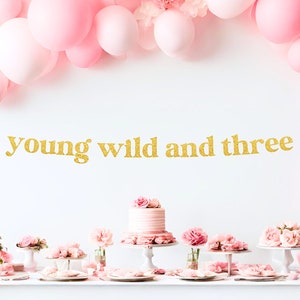 Young Wild and Three Banner, Third Birthday Theme, Girl's 3rd Birthday, 3rd Party Decor, Happy 3rd Birthday, Wild and Three Sign, Threenager