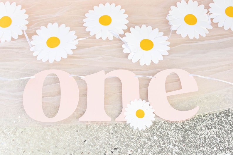 Daisy Banner, Daisy Party Decor, Flower Birthday, Daisy Garland, Custom Banner, Retro Groovy Decorations, 70s theme, 60s party, flower power image 5