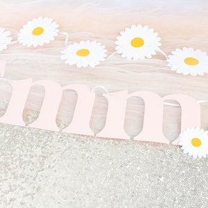 Daisy Banner, Daisy Party Decor, Flower Birthday, Daisy Garland, Custom Banner, Retro Groovy Decorations, 70s theme, 60s party, flower power image 4