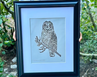 Short-eared Owl & Mountain Mahogany