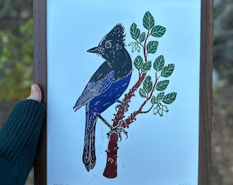 Steller's Jay Western Blue Jay Manzanita Hand Carved Unique Art Linocut Print