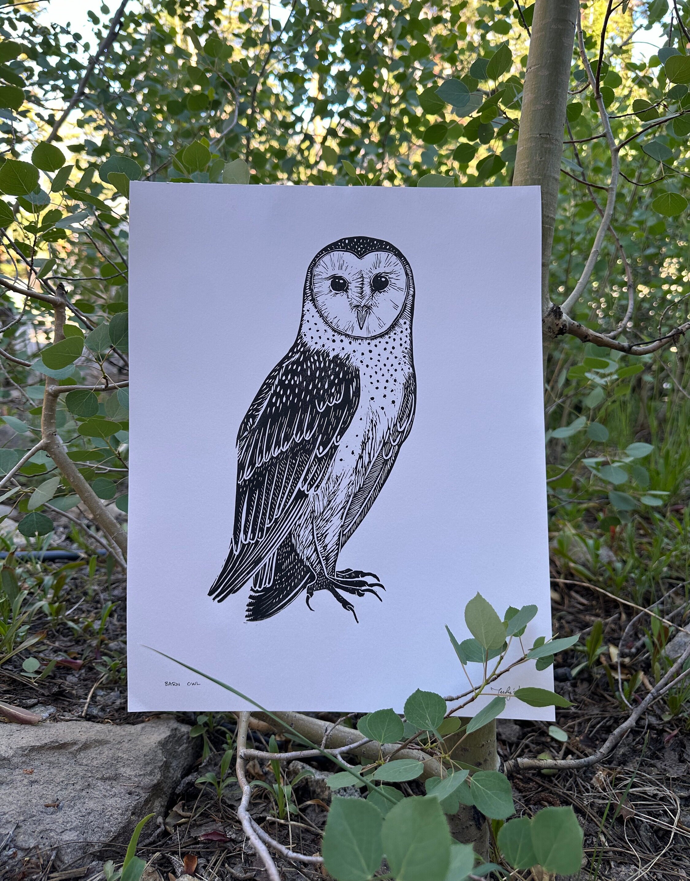 Owl Block Graphics Barn Owl Block Print - Etsy