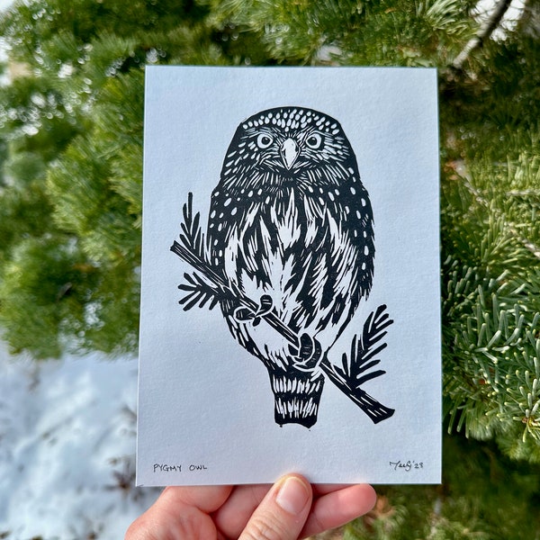 Pygmy Owl Block Print