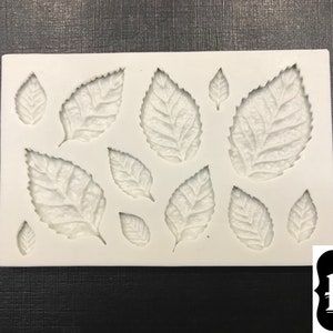 Moule en silicone à 12 feuilles