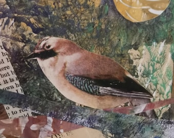 Original Bird Collage Art: 'Jay' Mixed Media Artwork (8x8" with mount)