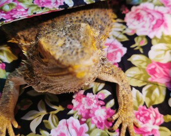 Bearded Dragon vivarium liner / blanket . Pink floral .. post from UK