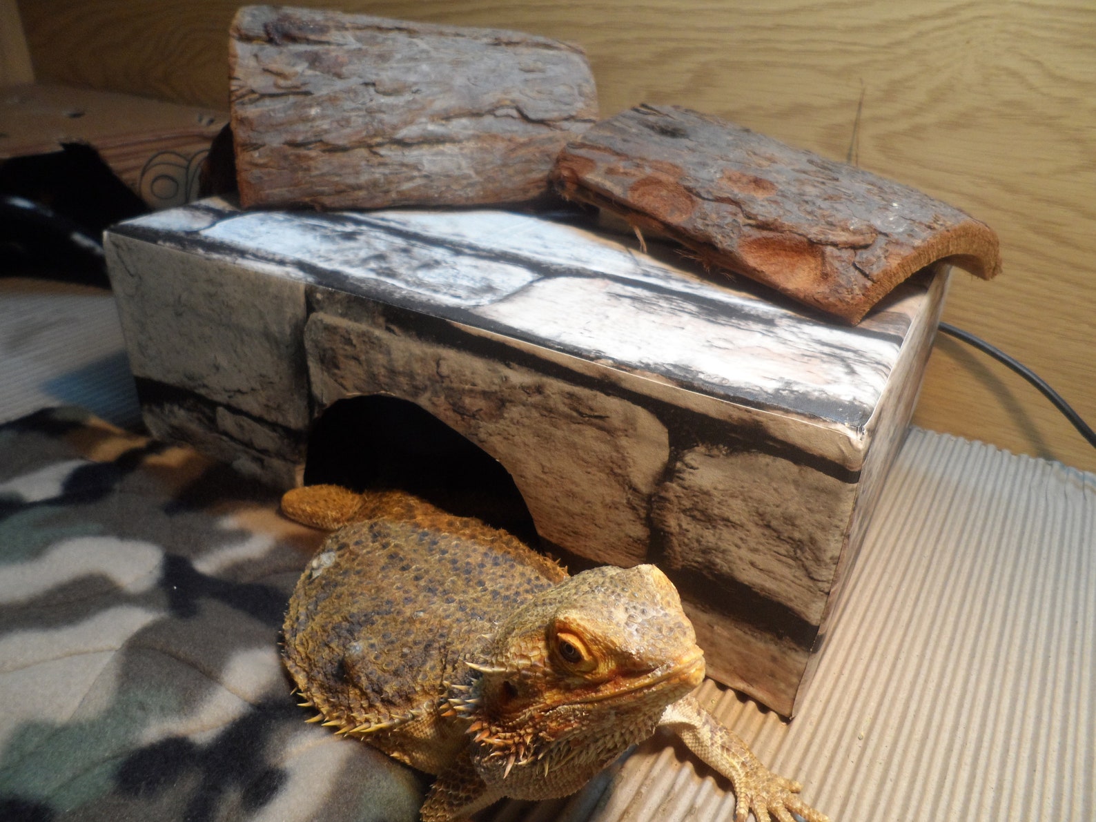 Bearded Dragon Hide Retreat cave DIY stonewall design Etsy