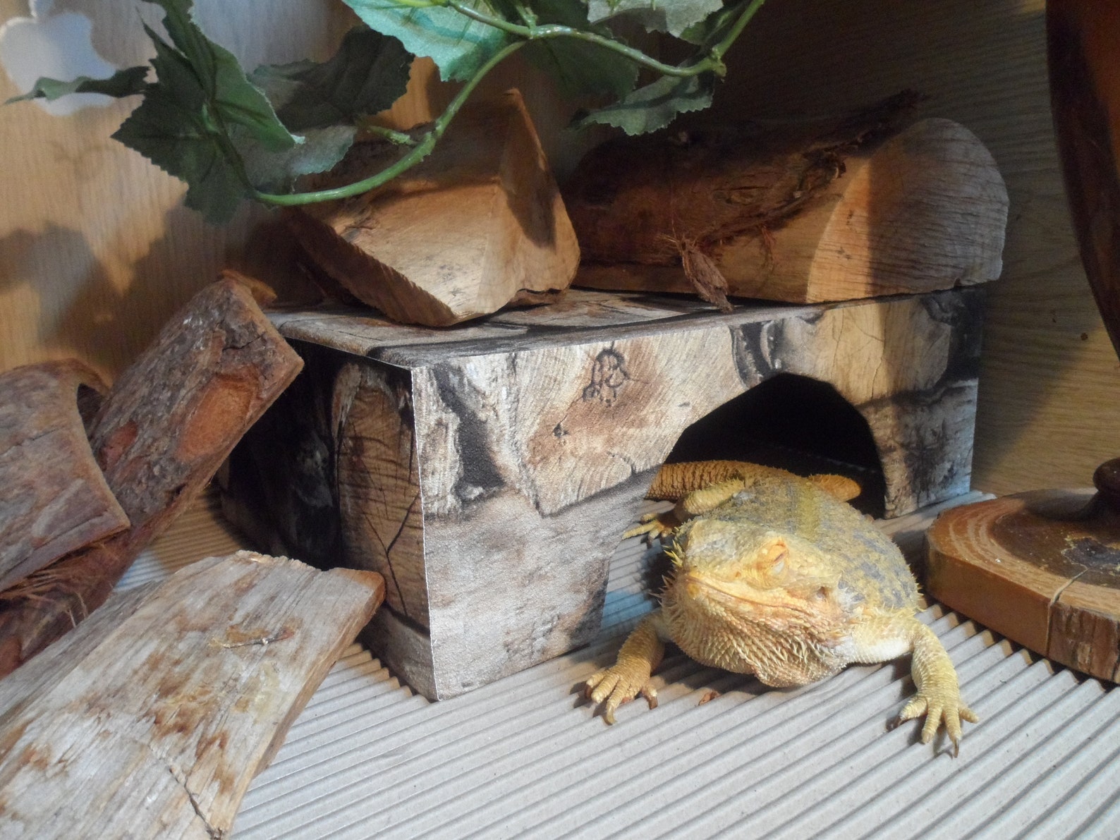 Bearded Dragon Hide Cave Retreat log cabin decor brumation den Etsy