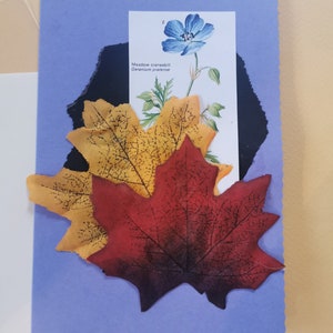 Handgemaakte Collage Wenskaart 3D origineel door Britse kunstenaar bloementhema
