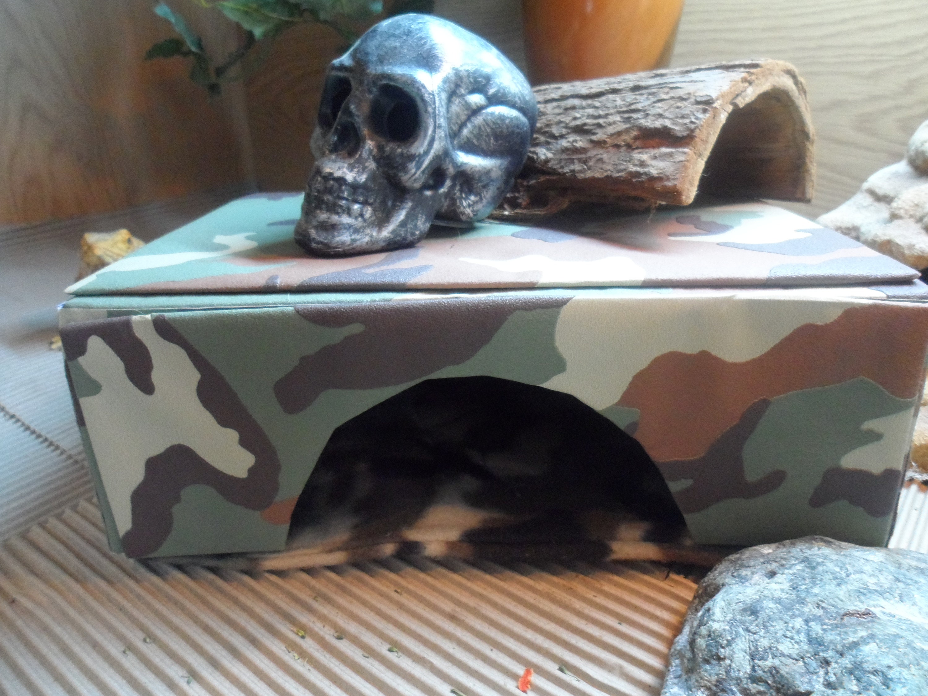 diy bearded dragon hides diy bearded dragon hides