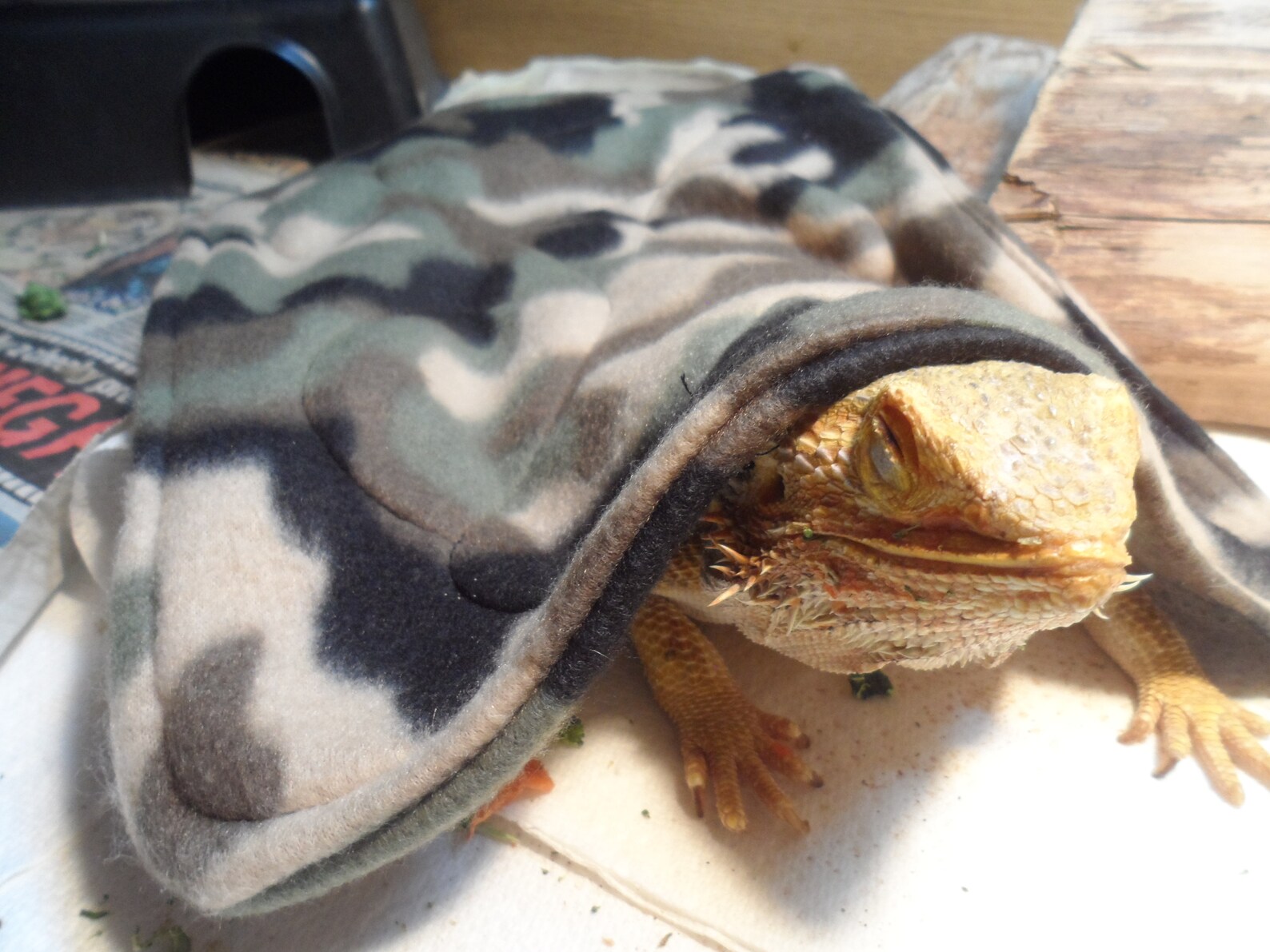 Bearded Dragon Pet Blanket..camouflage Fleece..cosy Etsy