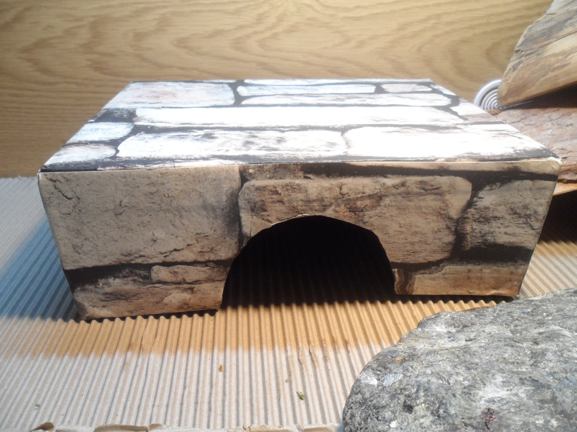 Bearded Dragon Hide Retreat cave DIY stonewall design Etsy
