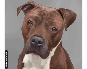 peluche american stanford