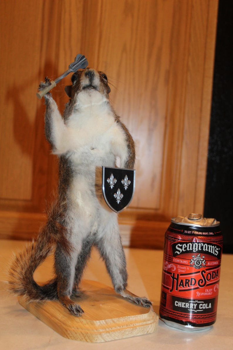 Taxidermy Squirrel Knight in Armor Mount Novelty Whitetail Deer Log ...