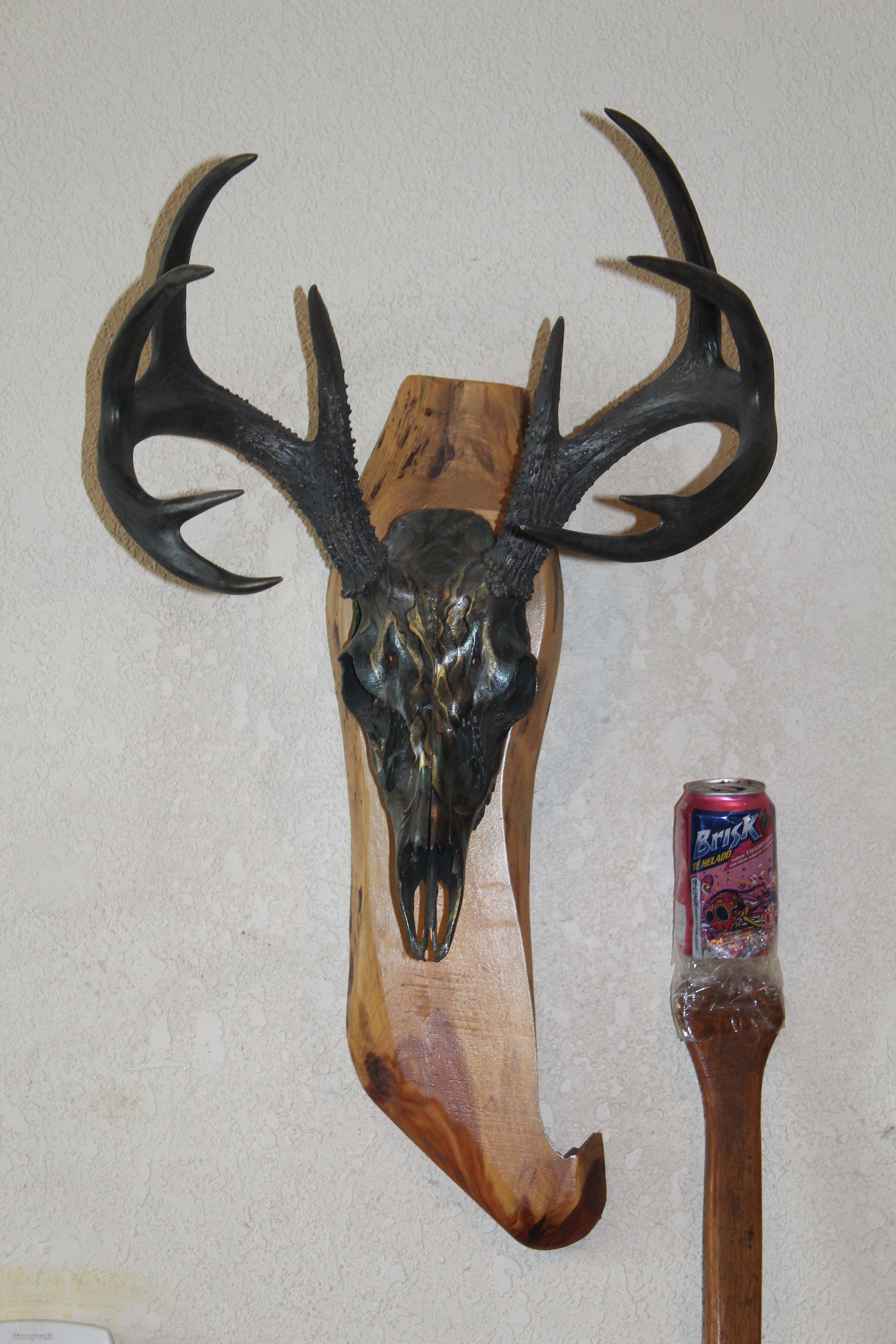 New Whitetail Deer Head European Skull Mount Taxidermy Cape Shed