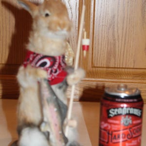 May include: A taxidermied rabbit wearing a red bandana and holding a fish, with a fishing rod and a can of Seagram's Hard Soda Cherry Cola in the background.